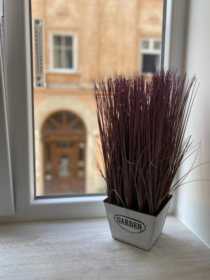 Homelike Apartment Lwów Zewnętrze zdjęcie